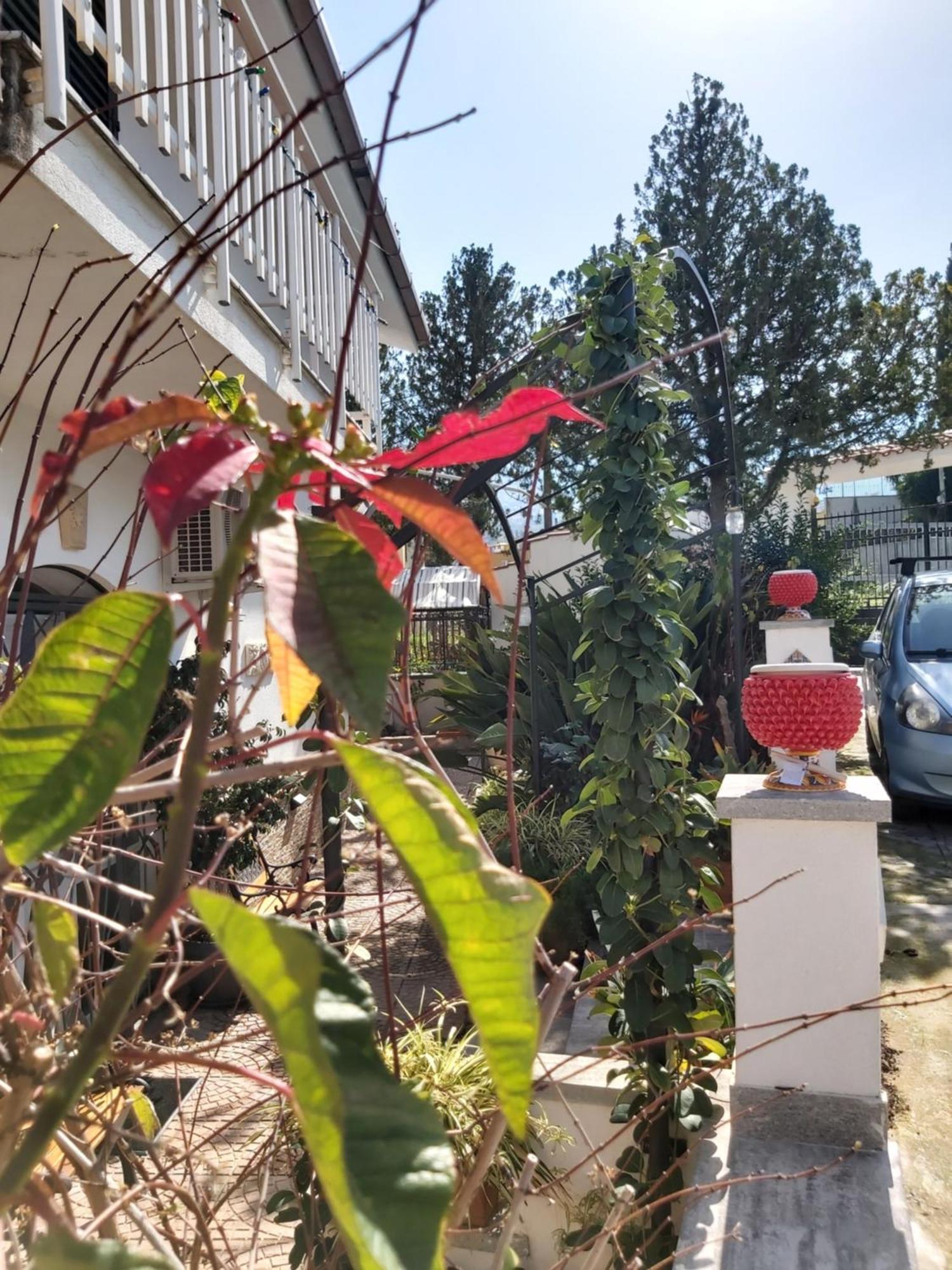 הוילה פלרמו La Perla Della Conca D'Oro מראה חיצוני תמונה